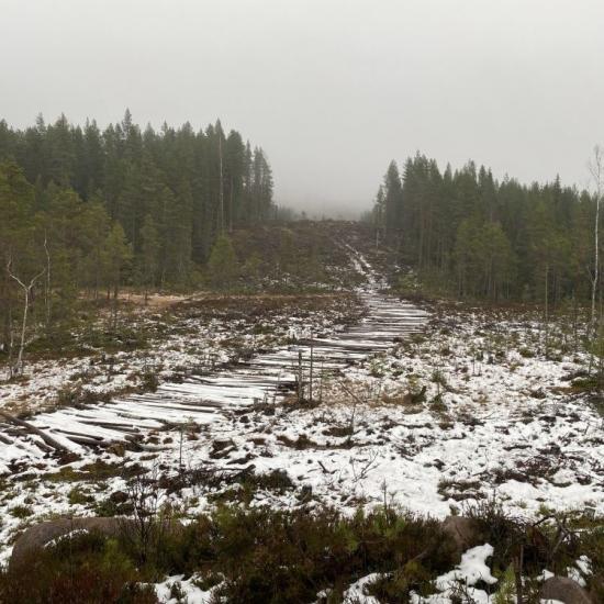 Laje i Sverige