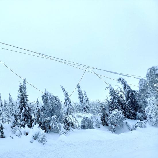 Ettervirkninger av stormen Gyda